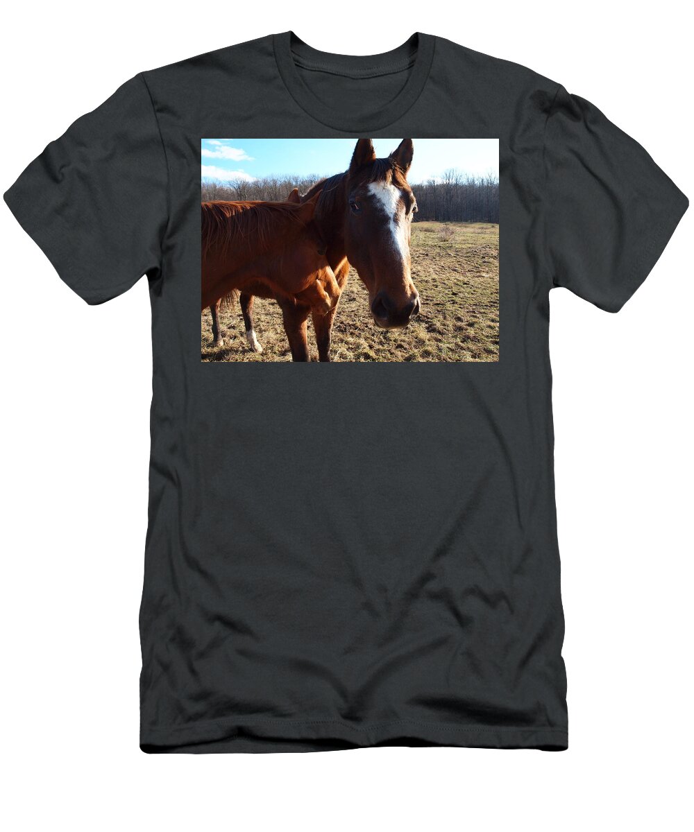 Horses T-Shirt featuring the photograph Horse Neck by Robert Margetts