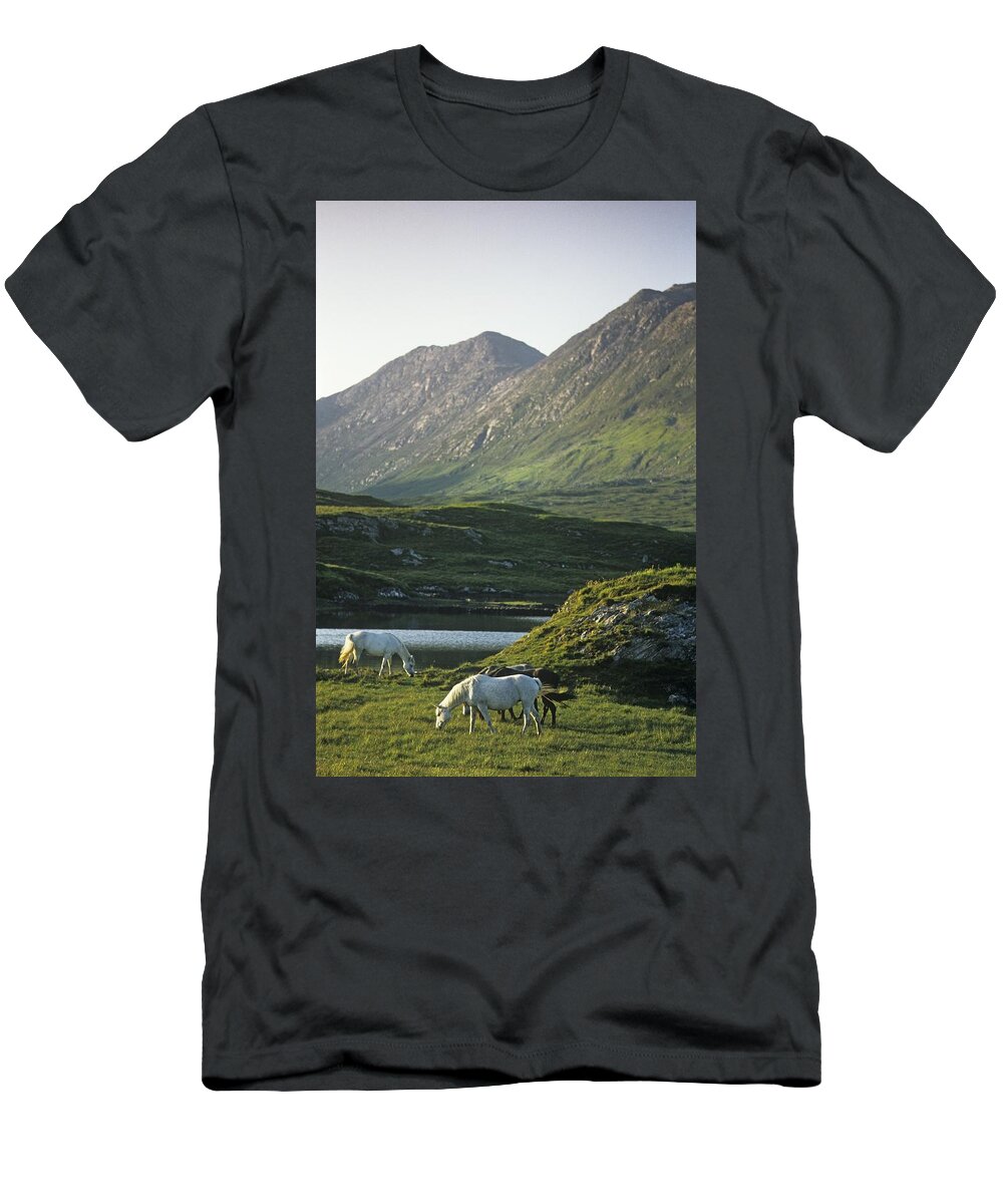 Animal Themes T-Shirt featuring the photograph Horses Grazing On A Landscape, County by The Irish Image Collection 