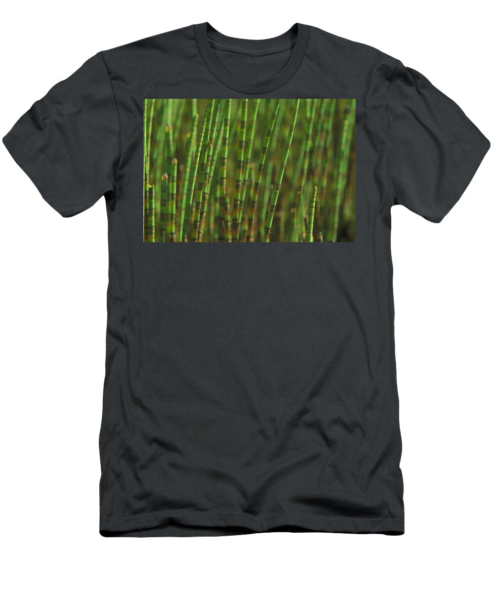 00760024 T-Shirt featuring the photograph Horsetail Stand by Christian Ziegler
