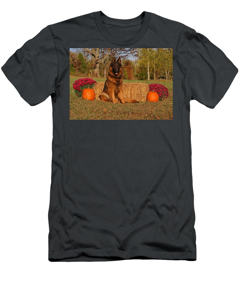 German Shepherd T-Shirt featuring the photograph Hoss in Autumn II by Sandy Keeton