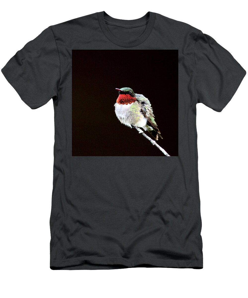 Hummingbird T-Shirt featuring the photograph Hummingbird - Ruffled Feathers by Travis Truelove