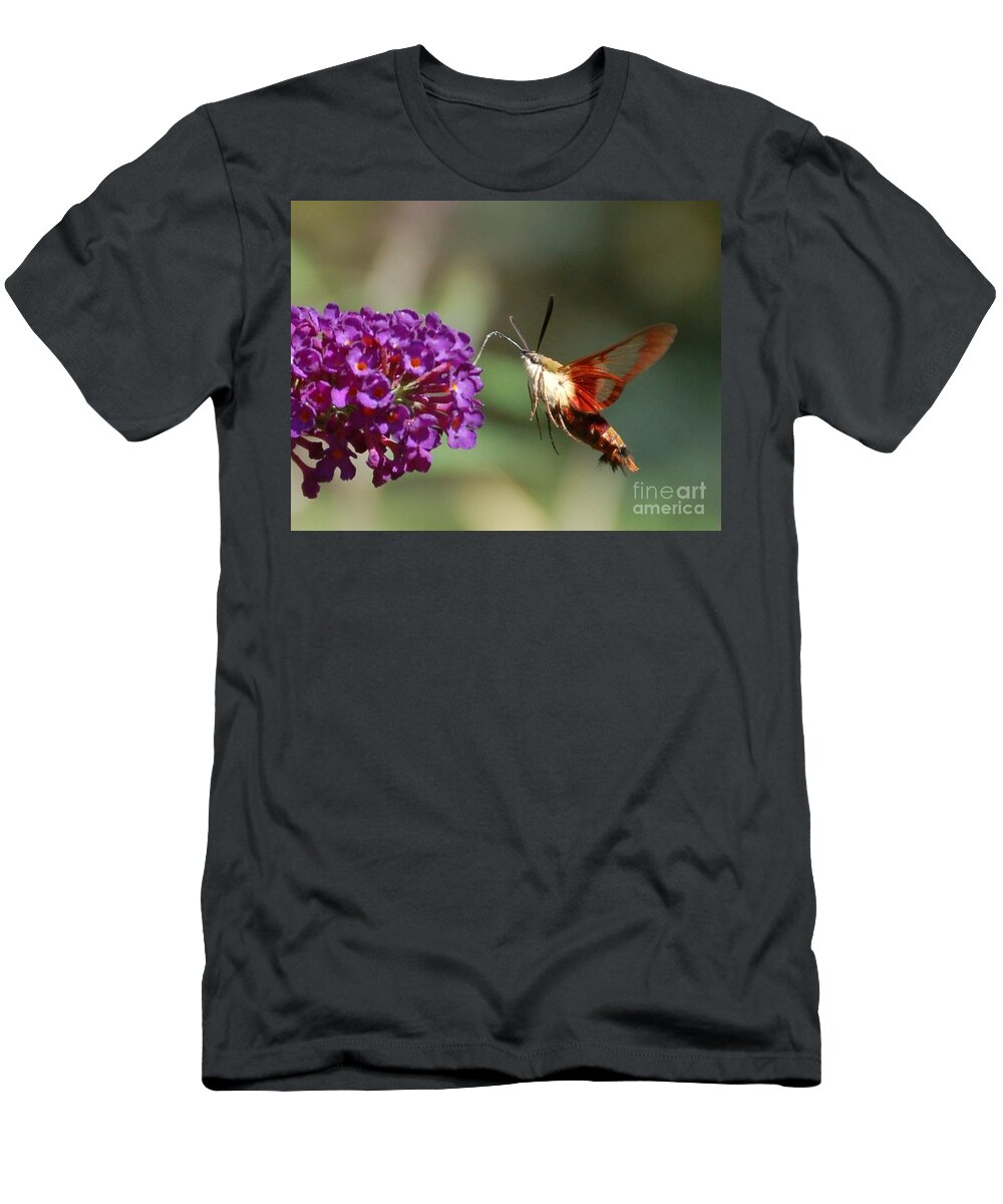 Hummingbird Moth T-Shirt featuring the photograph Hummingbird Moth by Randy J Heath
