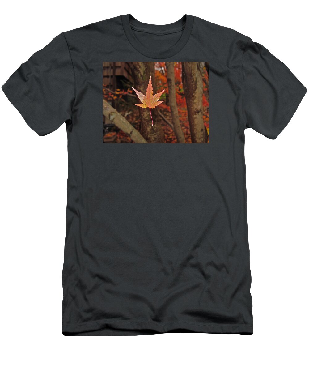 Digital Photograph T-Shirt featuring the photograph I Know- I Know- I See It--aka Gold leaf by Cliff Spohn