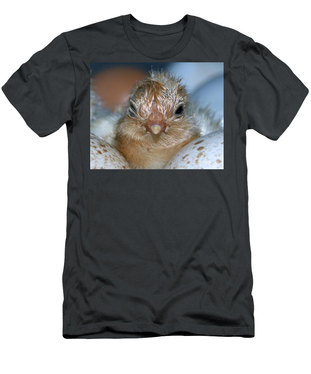 Hatched T-Shirt featuring the photograph Just Hatched by Grace Grogan