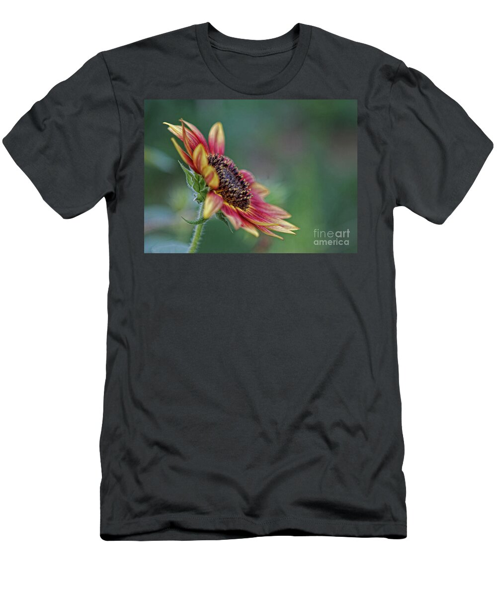 Sunflower T-Shirt featuring the photograph Just Opened by Denise Romano