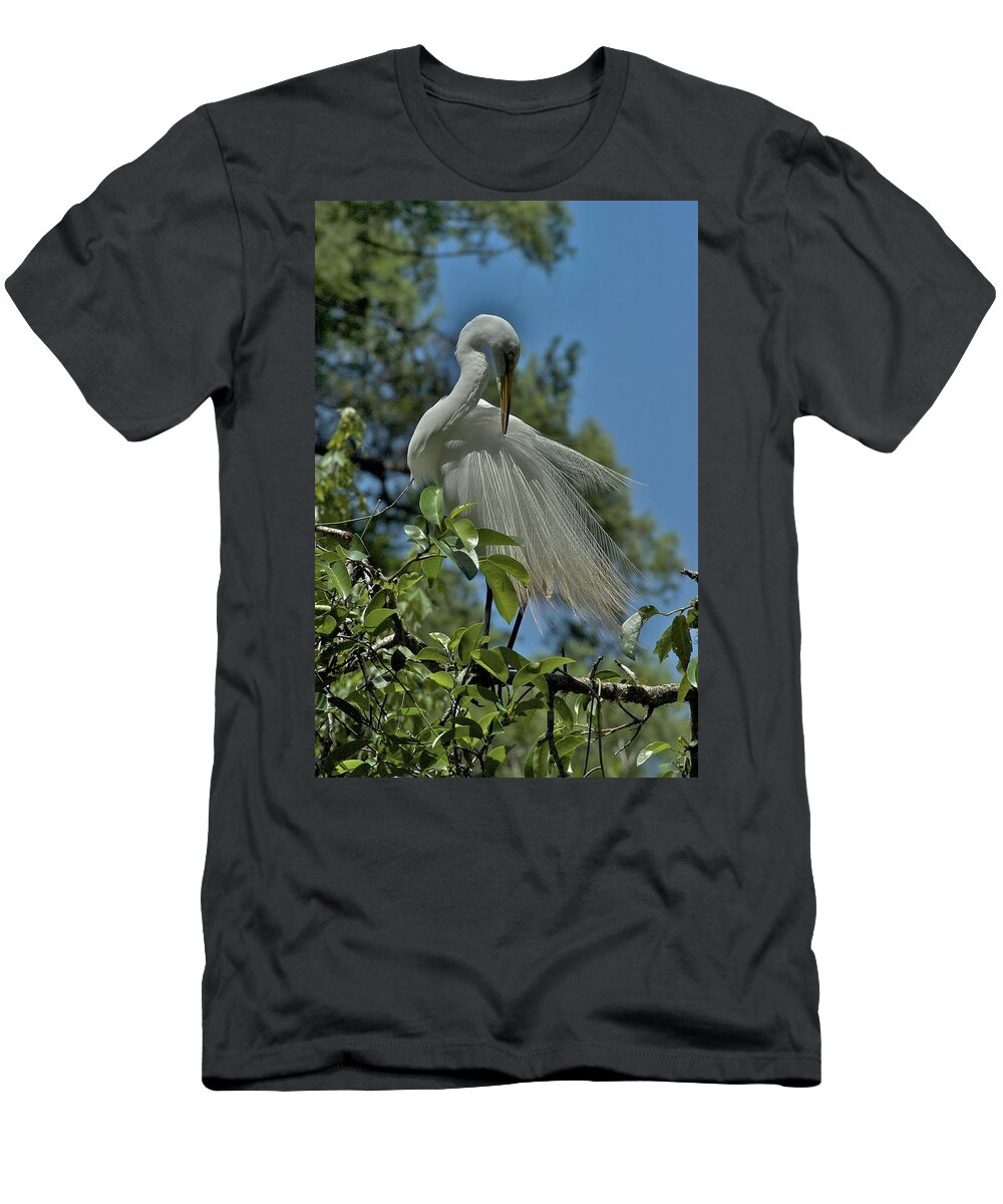 Florida T-Shirt featuring the photograph Just So by Joseph Yarbrough