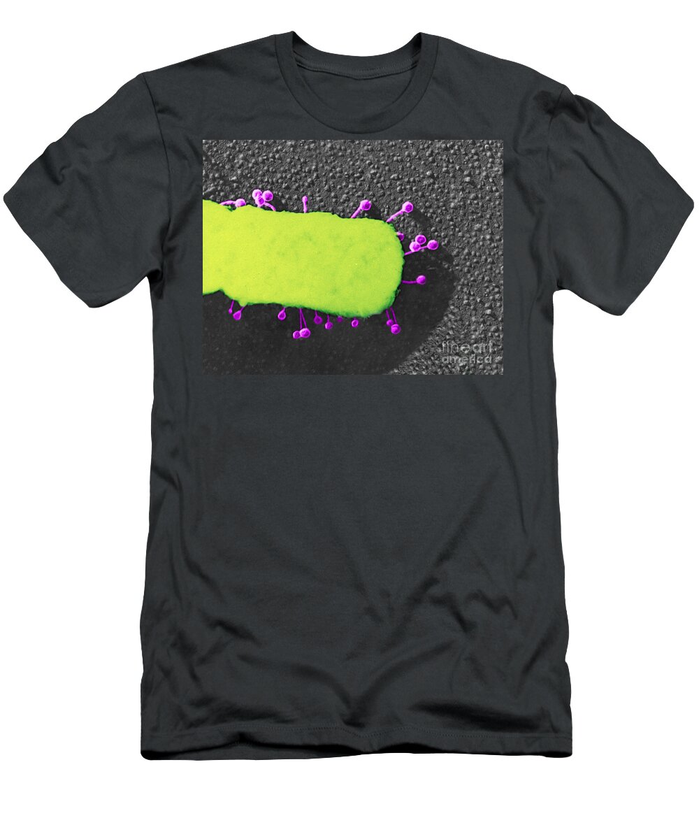 Bacteria T-Shirt featuring the photograph Lambda Phage On E. Coli by Science Source