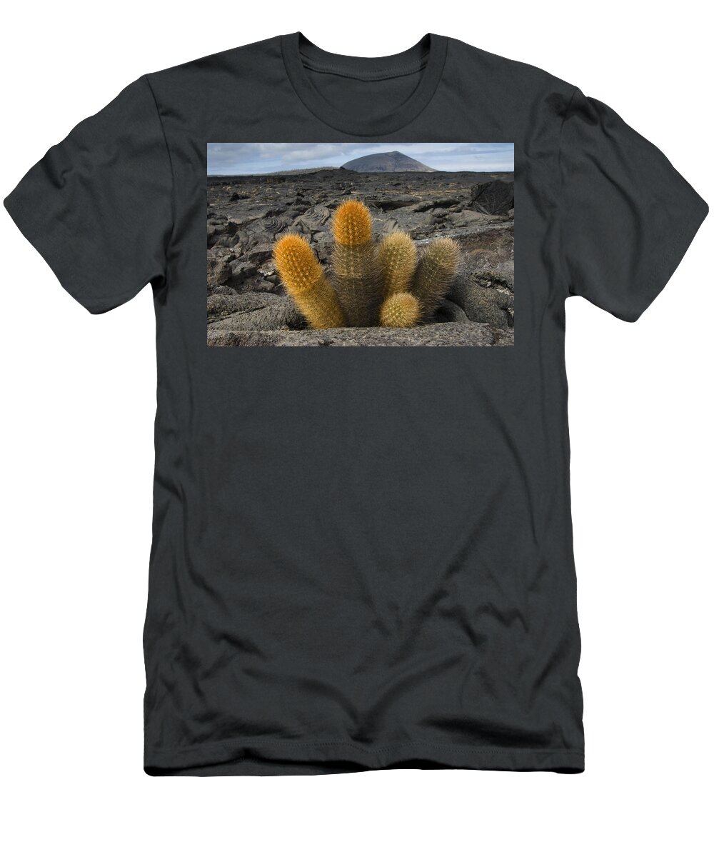 Mp T-Shirt featuring the photograph Lava Cactus Brachycereus Nesioticus by Pete Oxford