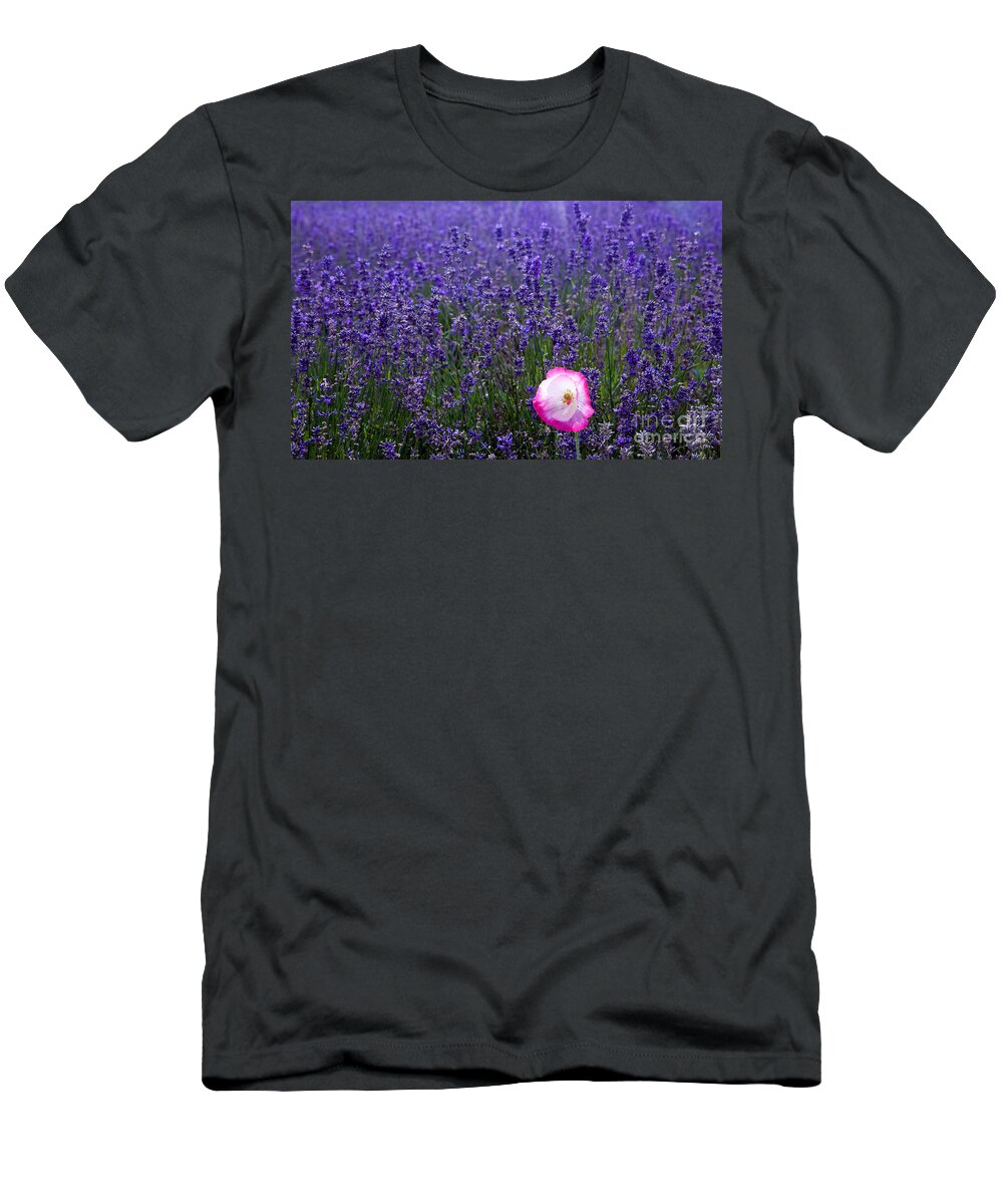  Abundance T-Shirt featuring the photograph Lavender field with poppy by Simon Bratt