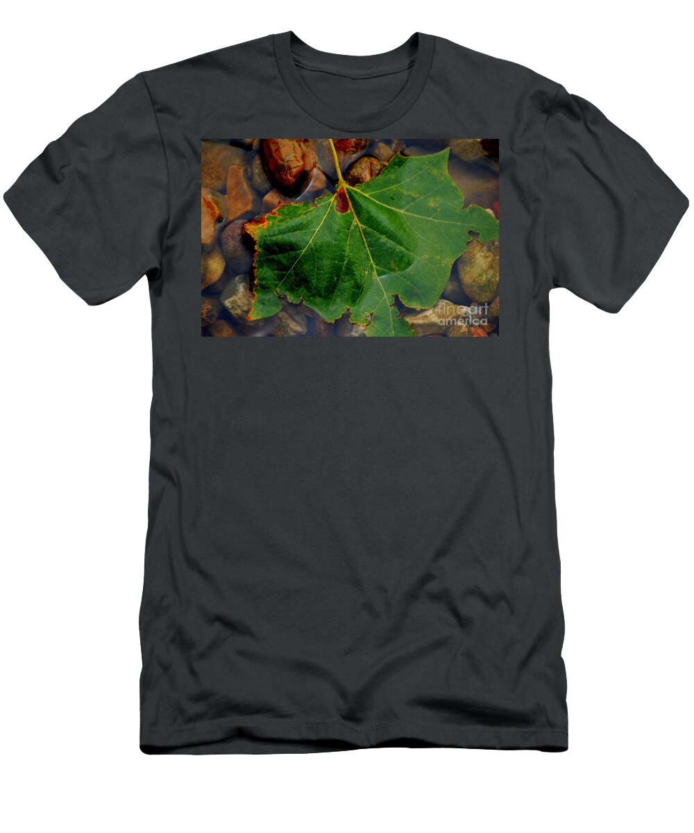 River T-Shirt featuring the photograph Leaf in the River by Anjanette Douglas