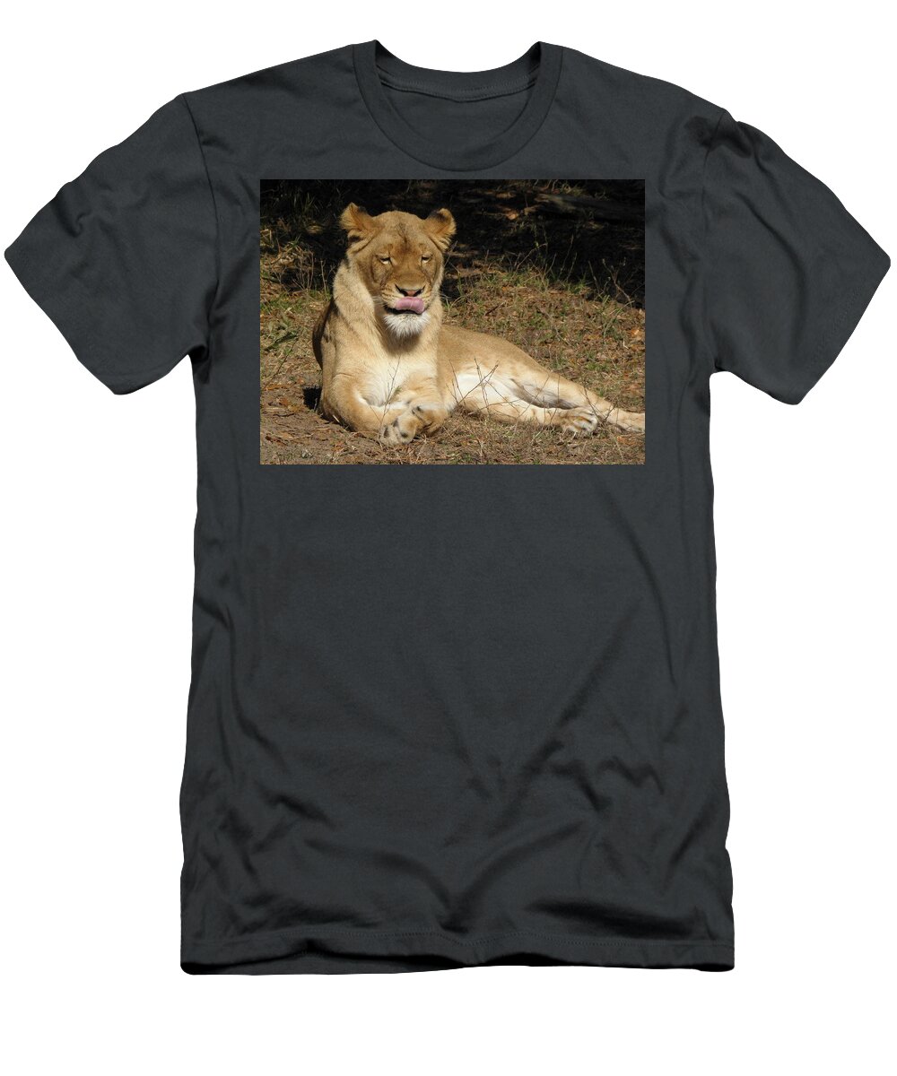 Lion T-Shirt featuring the photograph Licking Lips by Kim Galluzzo