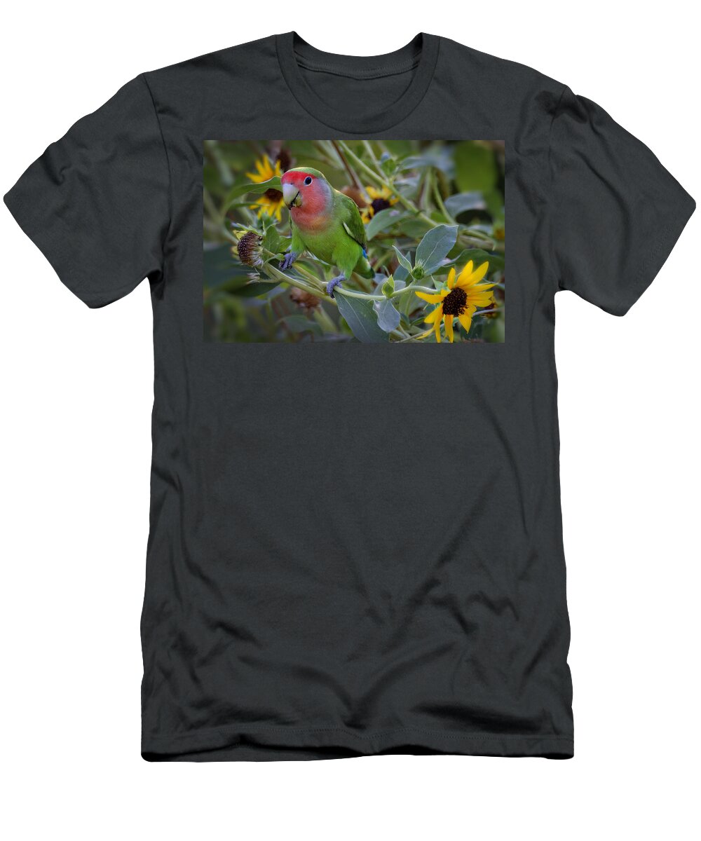 Lovebird T-Shirt featuring the photograph Little Lovebird by Saija Lehtonen