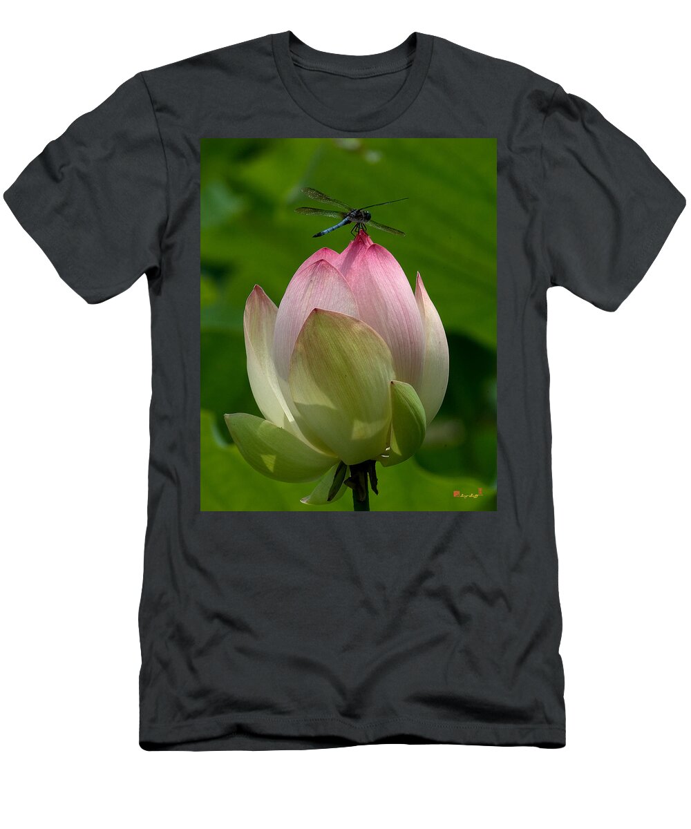 Nature T-Shirt featuring the photograph Lotus Bud and Blue Dasher Dragonfly--Supporting Role DL019 by Gerry Gantt