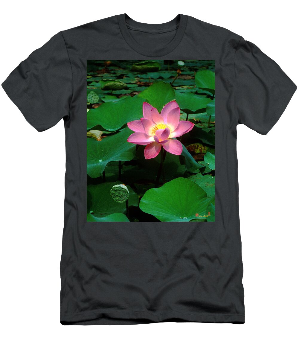 Nature T-Shirt featuring the photograph Lotus Flower and Capsule 24A by Gerry Gantt