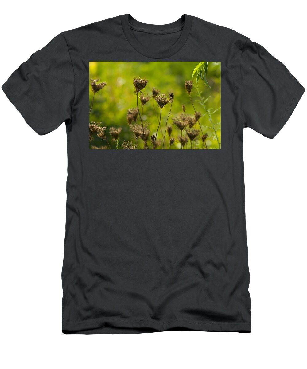 Daucus Carota T-Shirt featuring the photograph Loveliness in Death by Kathy Clark