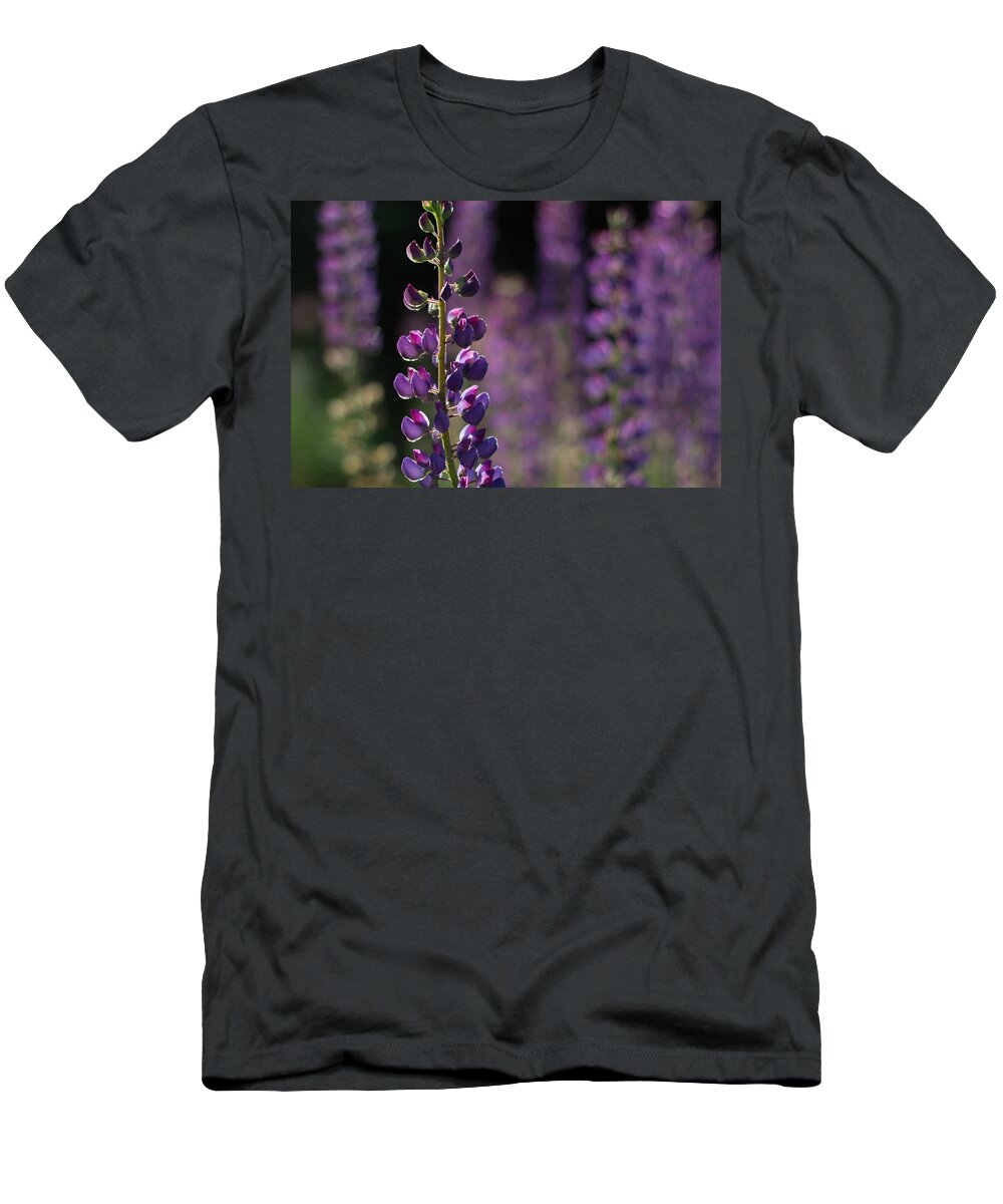 Canada T-Shirt featuring the photograph Lupines by Jakub Sisak