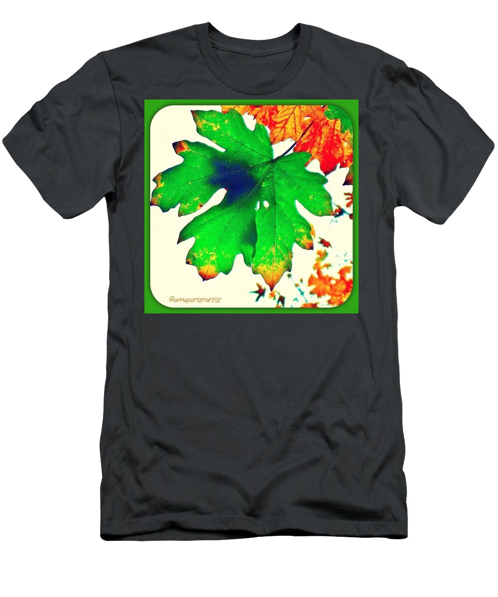 Treestyles_gf T-Shirt featuring the photograph Maple Leaf From Below #trees #maple by Anna Porter