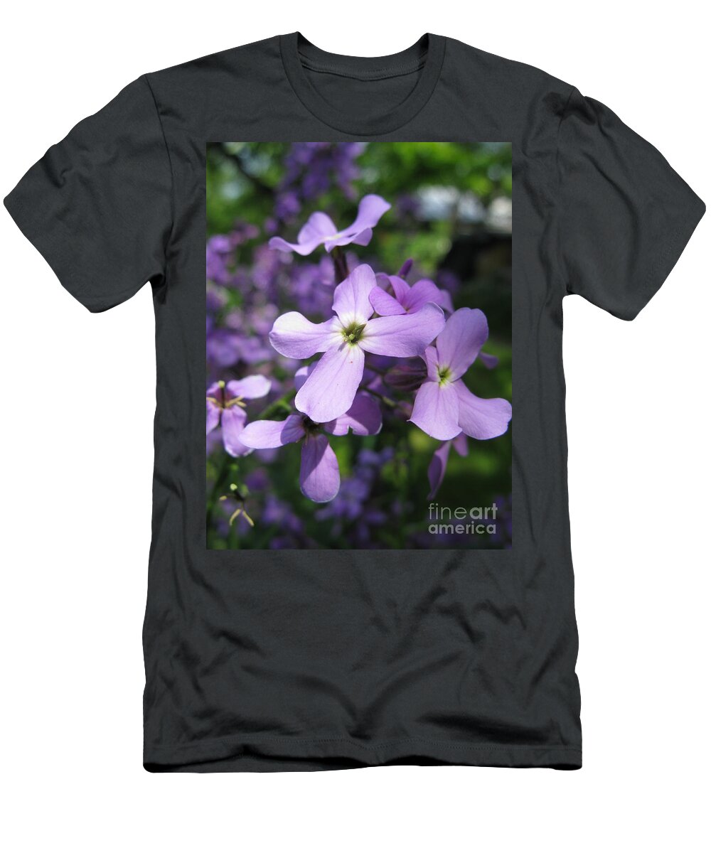 Matthiola Bicornis T-Shirt featuring the photograph Matthiola bicornis. Night-scented Stock. by Ausra Huntington nee Paulauskaite