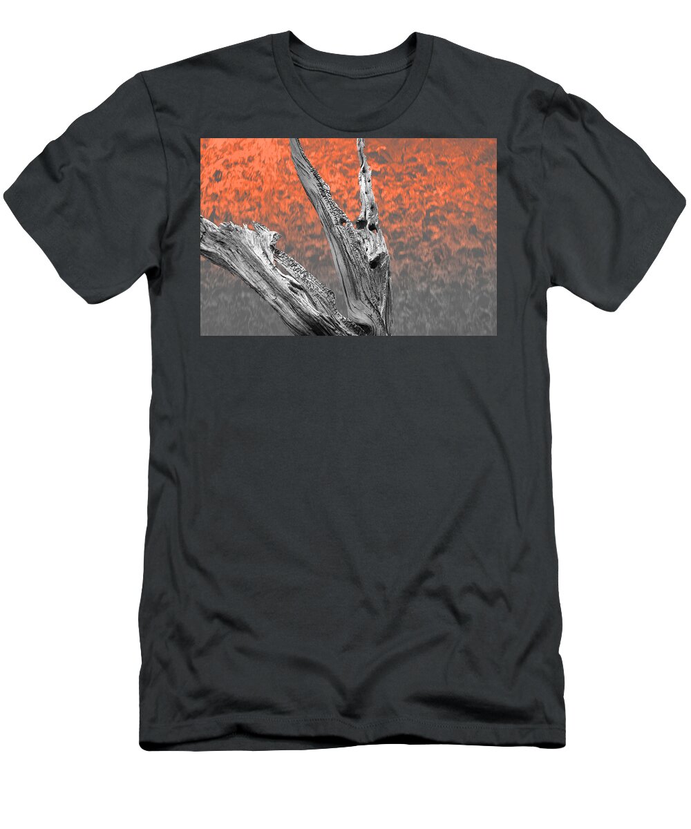 Tree T-Shirt featuring the photograph Melting Ghosts by Mark Ross