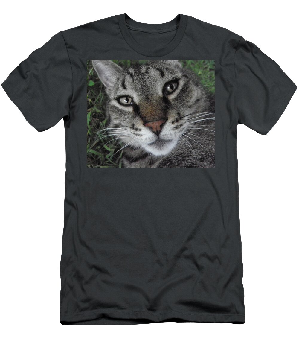 Cat T-Shirt featuring the photograph Mesmerized by Kim Galluzzo