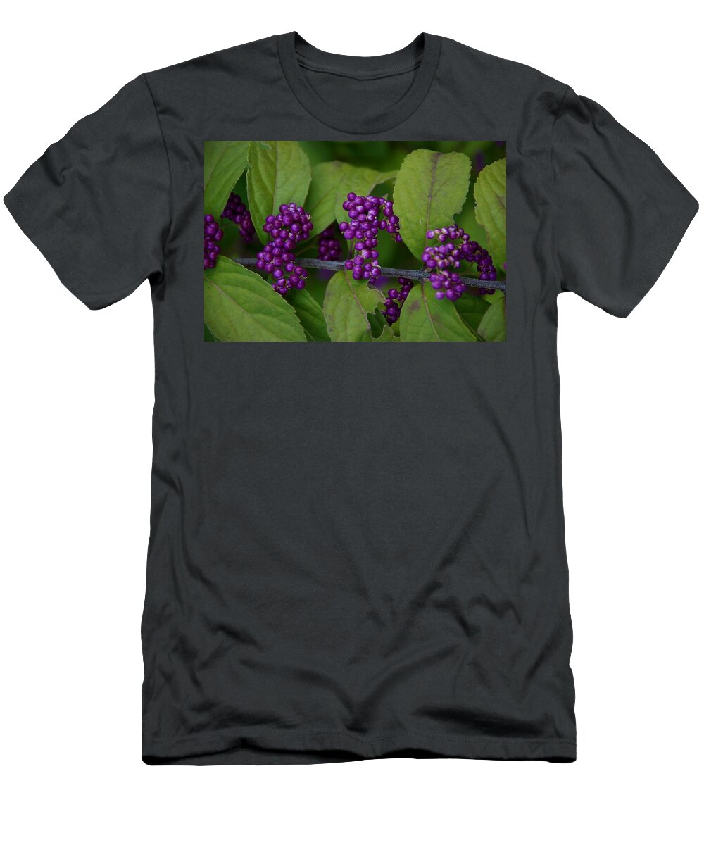 Beautyberry T-Shirt featuring the photograph Michigan Beauty by Joseph Yarbrough