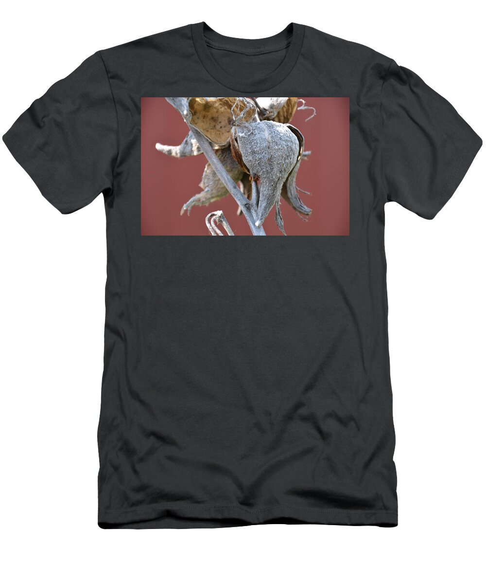 Milkweed T-Shirt featuring the photograph Milkweed by Randy J Heath