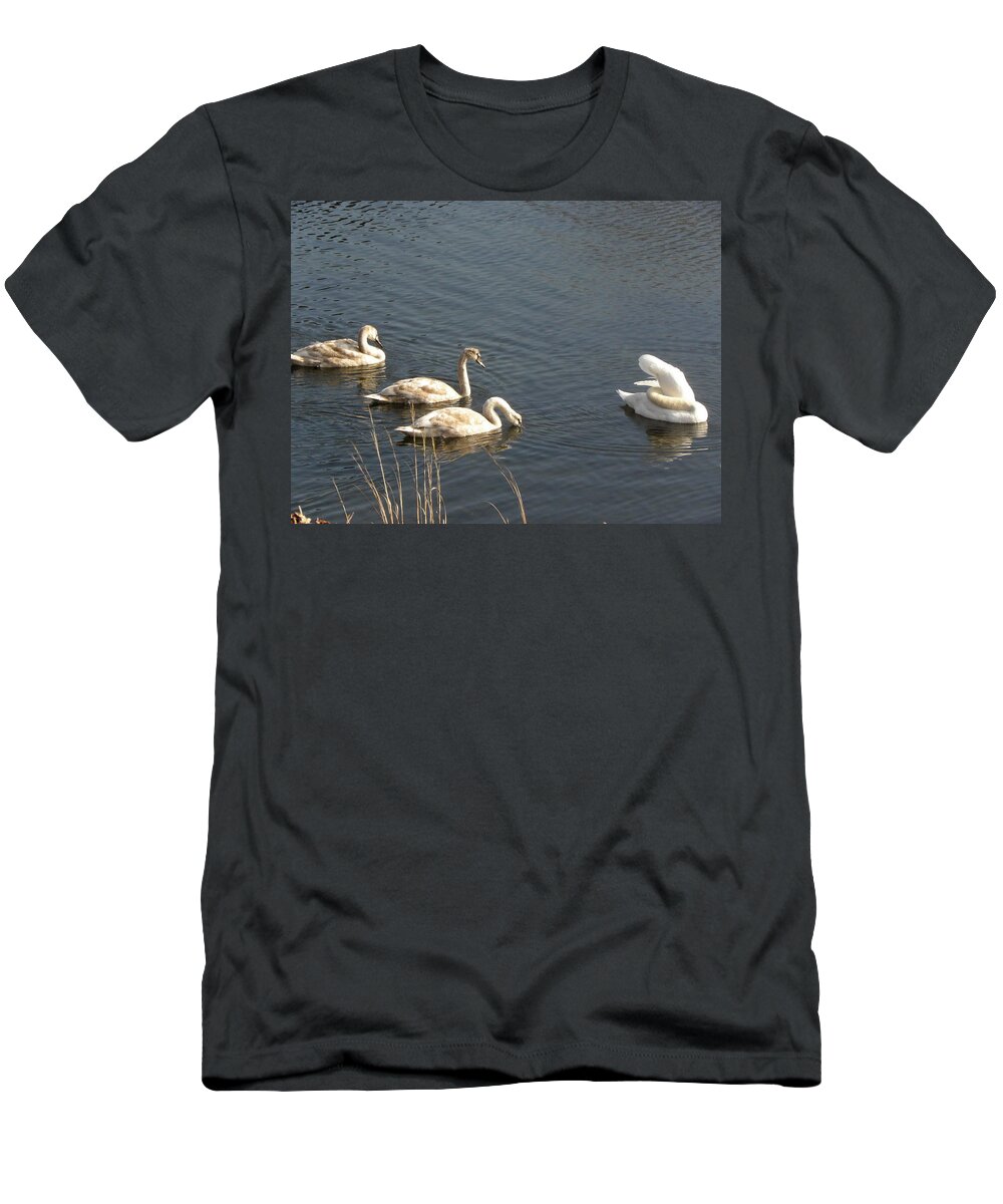 Swan T-Shirt featuring the photograph Mom and Triplets by Kim Galluzzo