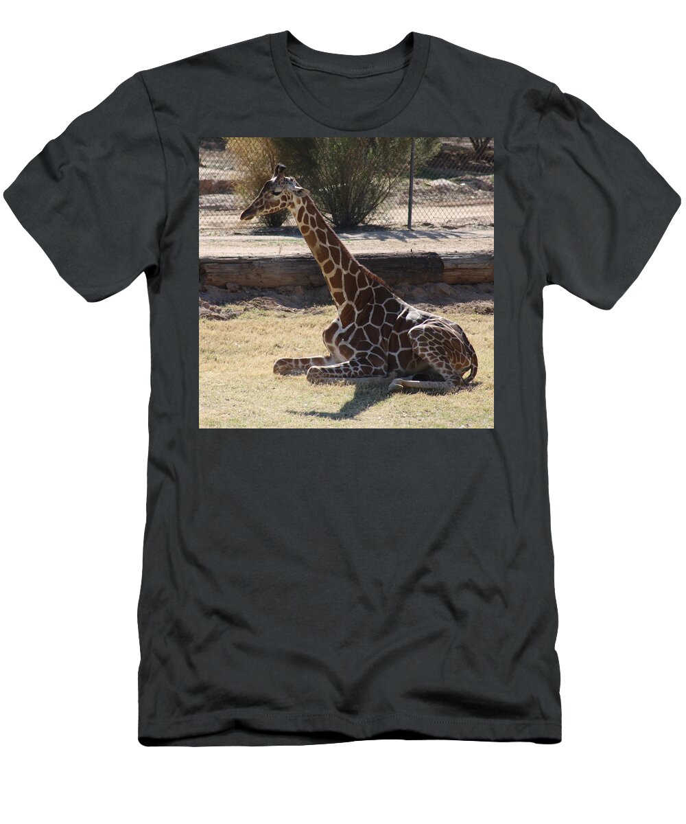 Giraffe T-Shirt featuring the photograph Mommy taking a break by Kim Galluzzo Wozniak