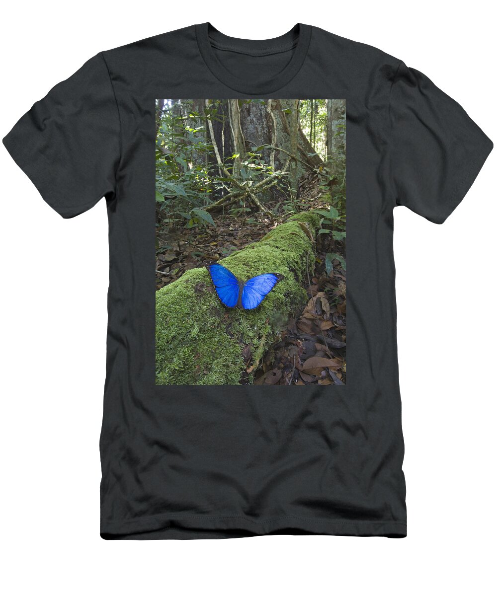 00298549 T-Shirt featuring the photograph Morpho Butterfly In Rainforest Acarai by Piotr Naskrecki