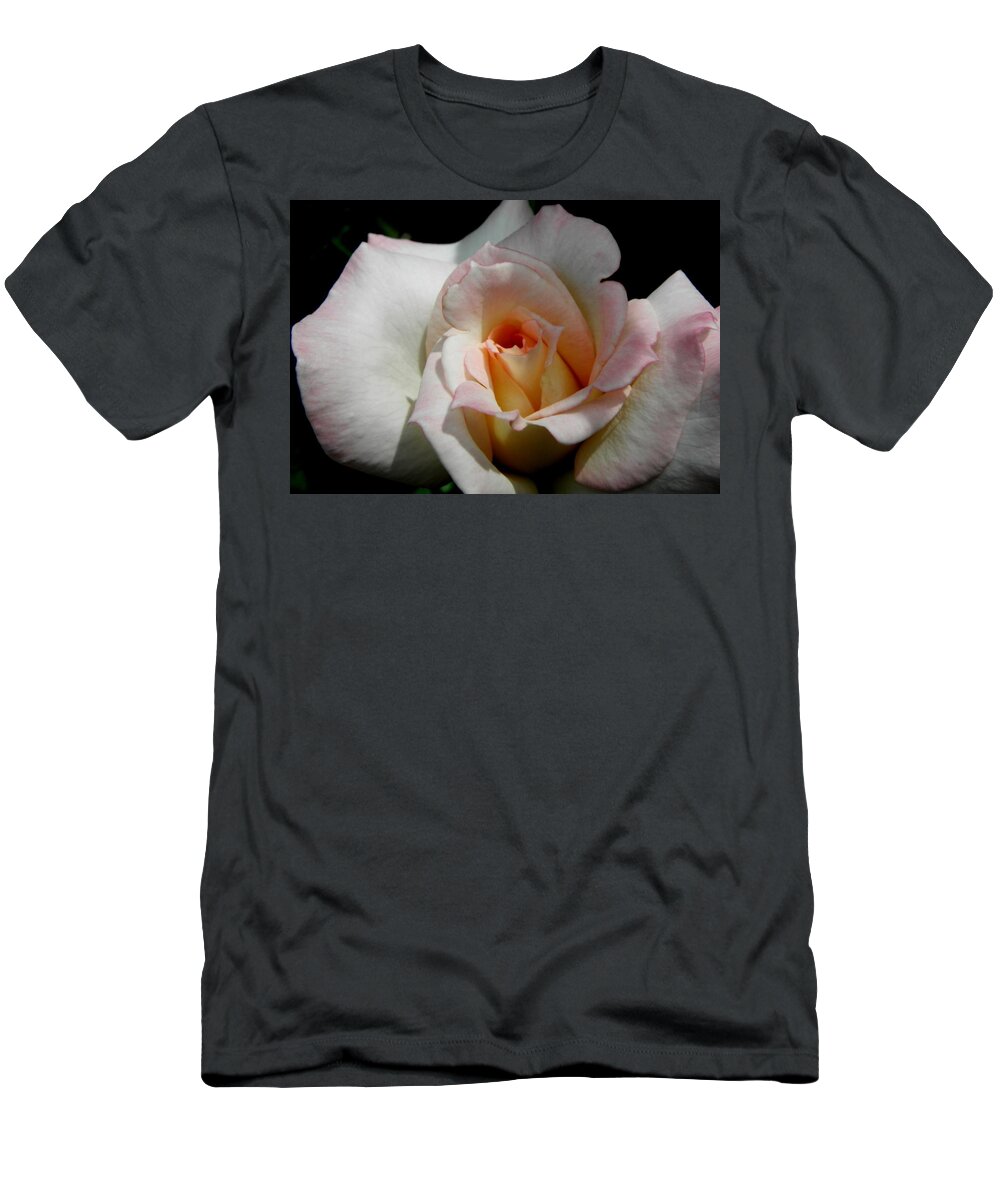 Rose T-Shirt featuring the photograph My Secret Rose by Kim Galluzzo