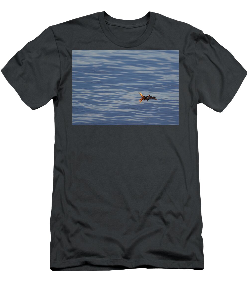 Water T-Shirt featuring the photograph Oak Leaf Floating by Daniel Reed