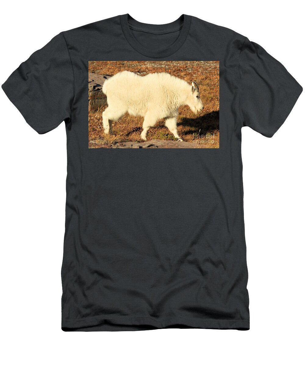 Glacier National Park T-Shirt featuring the photograph Out For A Stroll by Adam Jewell