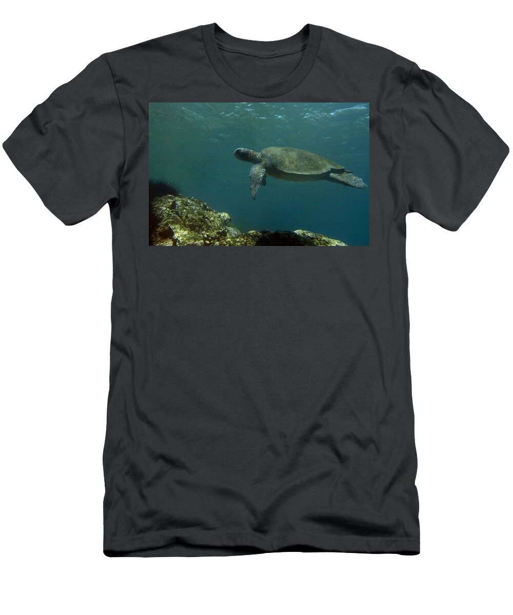 Mp T-Shirt featuring the photograph Pacific Green Sea Turtle Chelonia Mydas by Pete Oxford