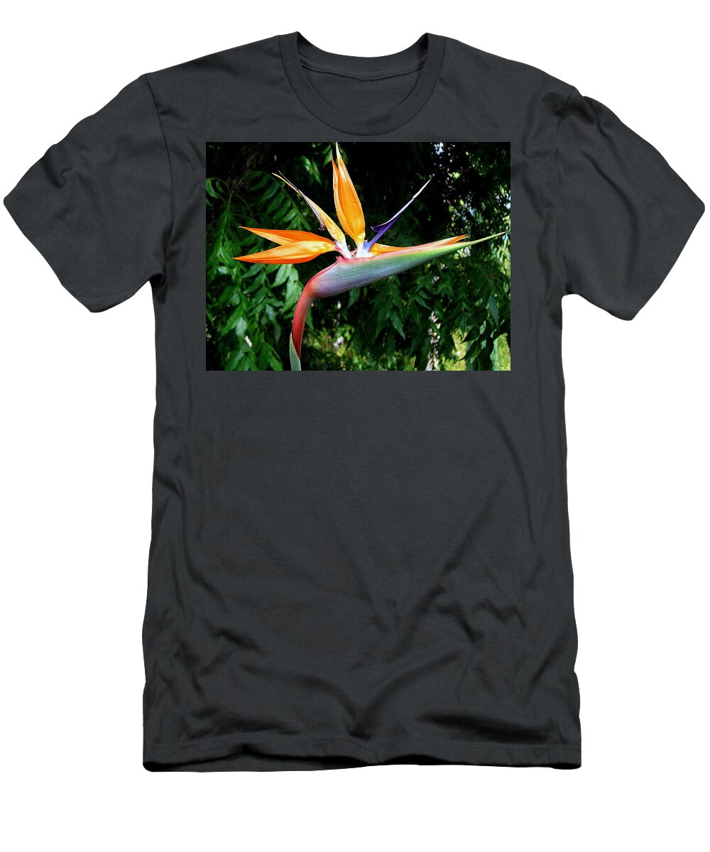 Bird Of Paradise T-Shirt featuring the photograph Paradise by Kathy Bassett