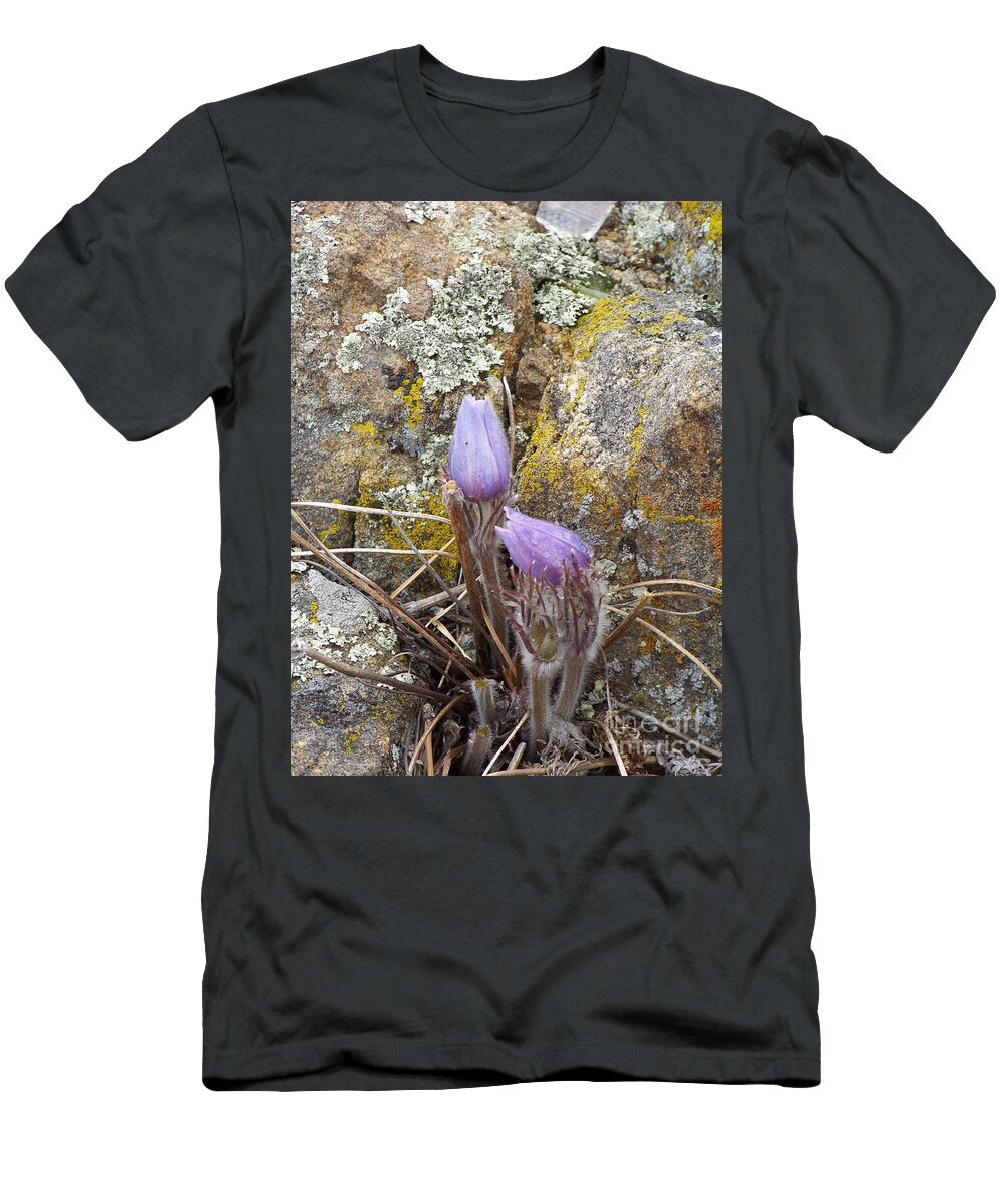 Pasque Flowers T-Shirt featuring the photograph Pasque Flowers by Dorrene BrownButterfield