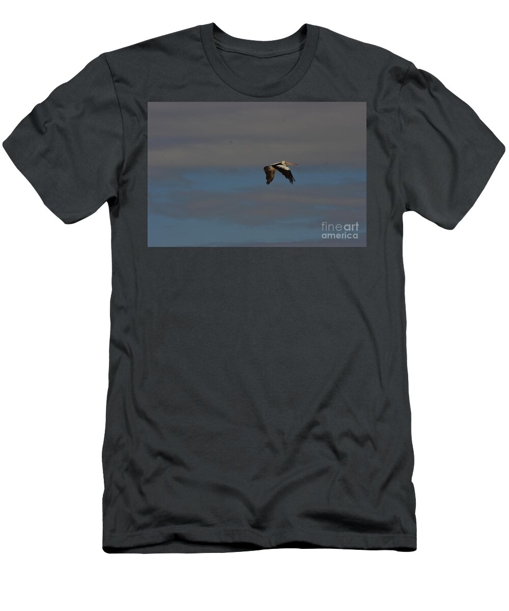 Australia T-Shirt featuring the photograph Pelican in flight 4 by Blair Stuart