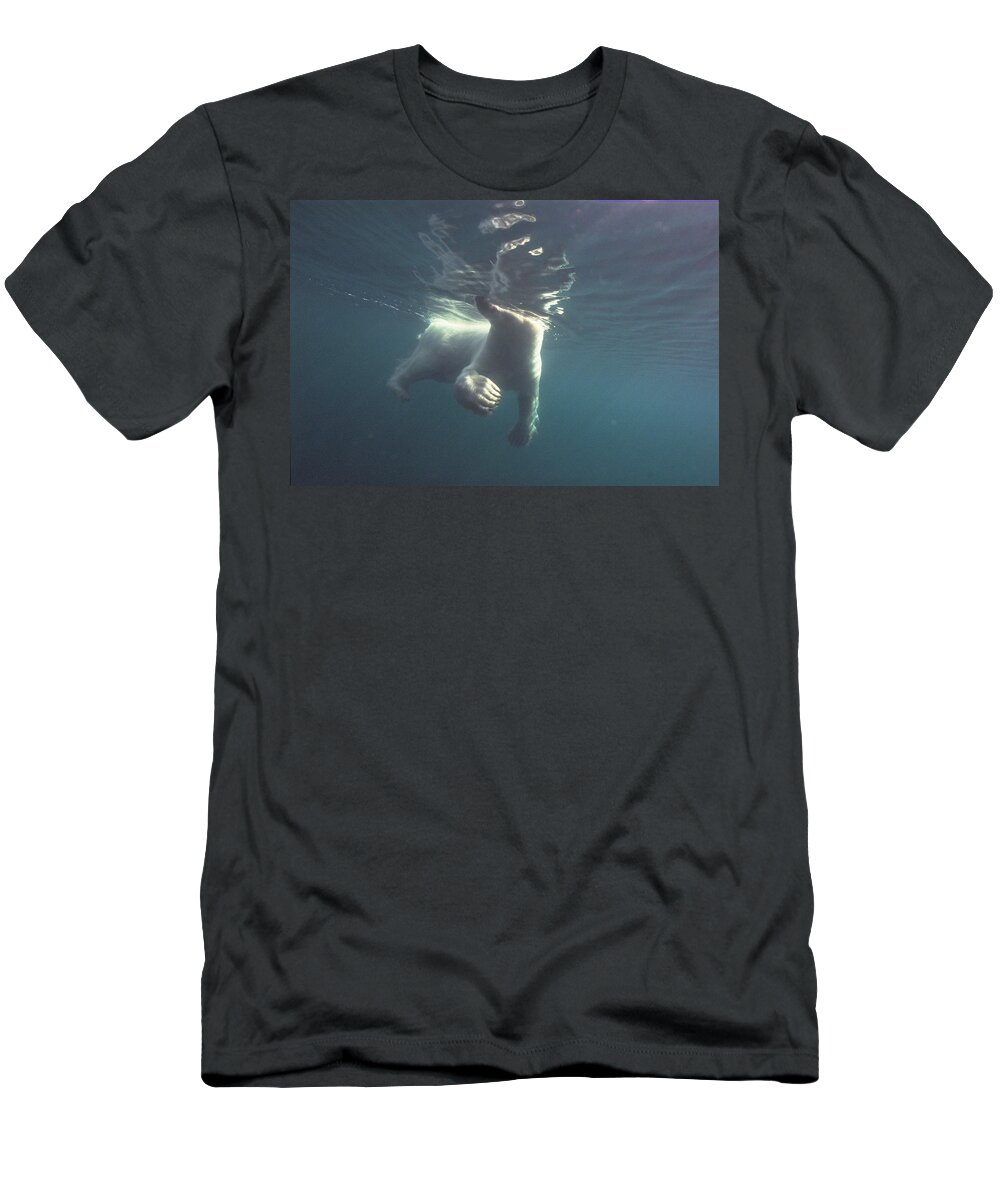 00125874 T-Shirt featuring the photograph Polar Bear Swimming Wager Bay Canada by Flip Nicklin
