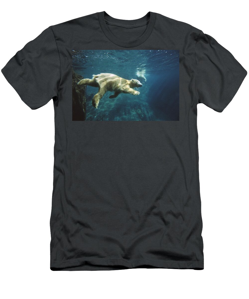 Bear T-Shirt featuring the photograph Polar Bear Ursus Maritimus Pair by San Diego Zoo