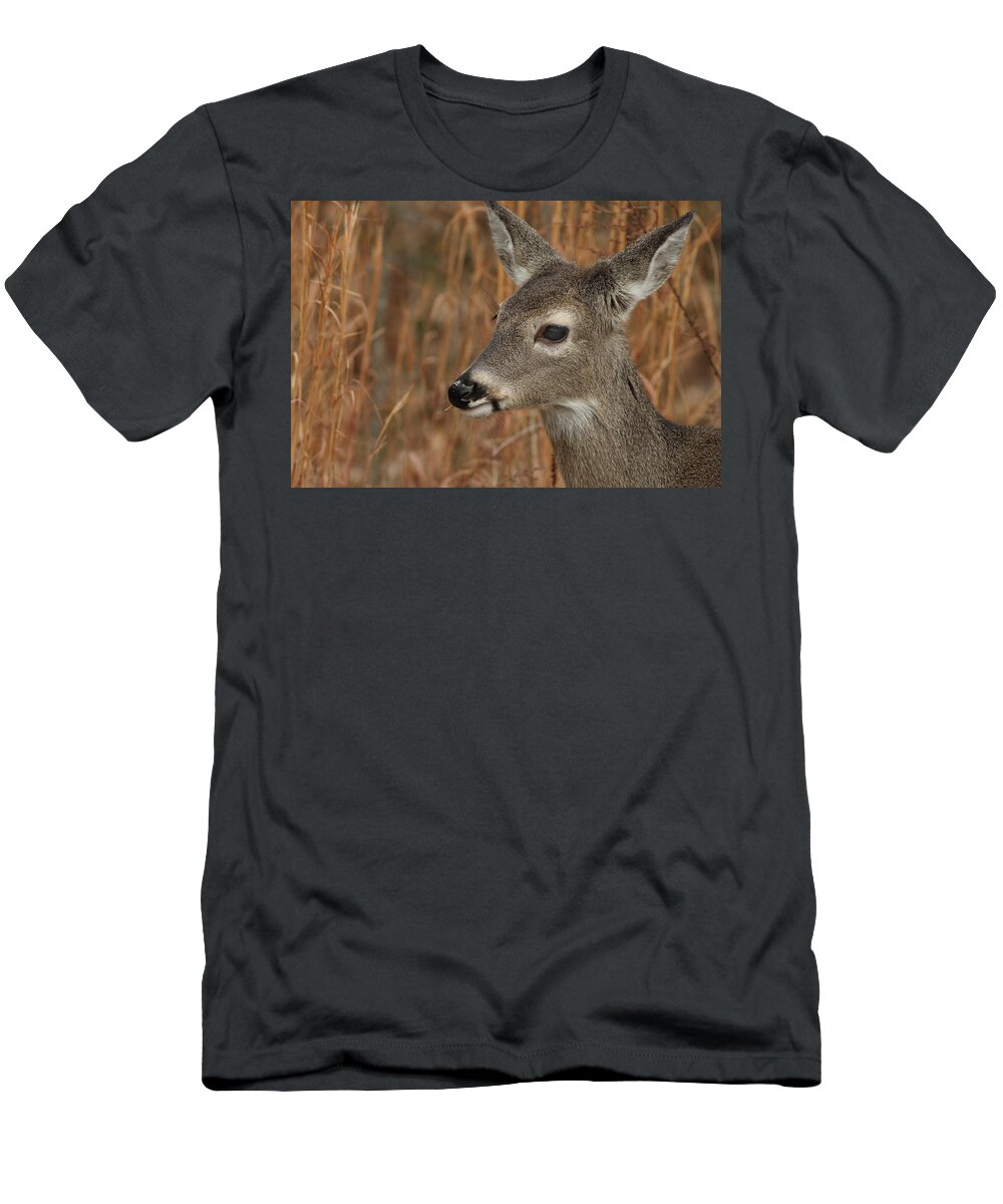 Odocoileus Virginanus T-Shirt featuring the photograph Portrait Of Browsing Deer by Daniel Reed