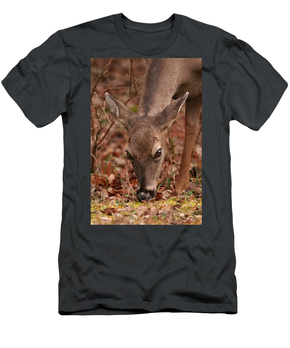 Odocoileus Virginanus T-Shirt featuring the photograph Portrait Of Browsing Deer Two by Daniel Reed