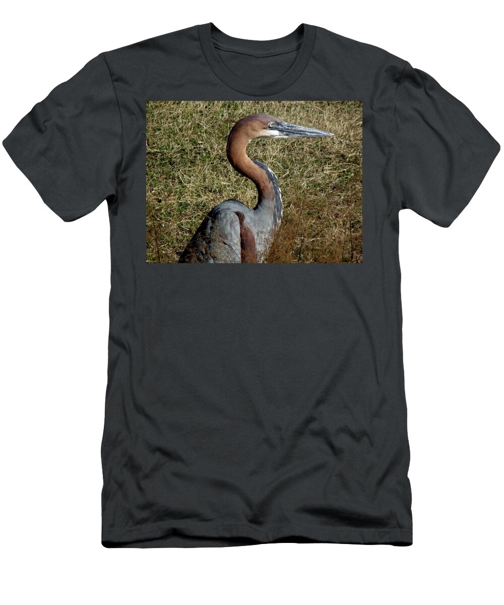 Crane T-Shirt featuring the photograph Prehistoric Features by Kim Galluzzo Wozniak