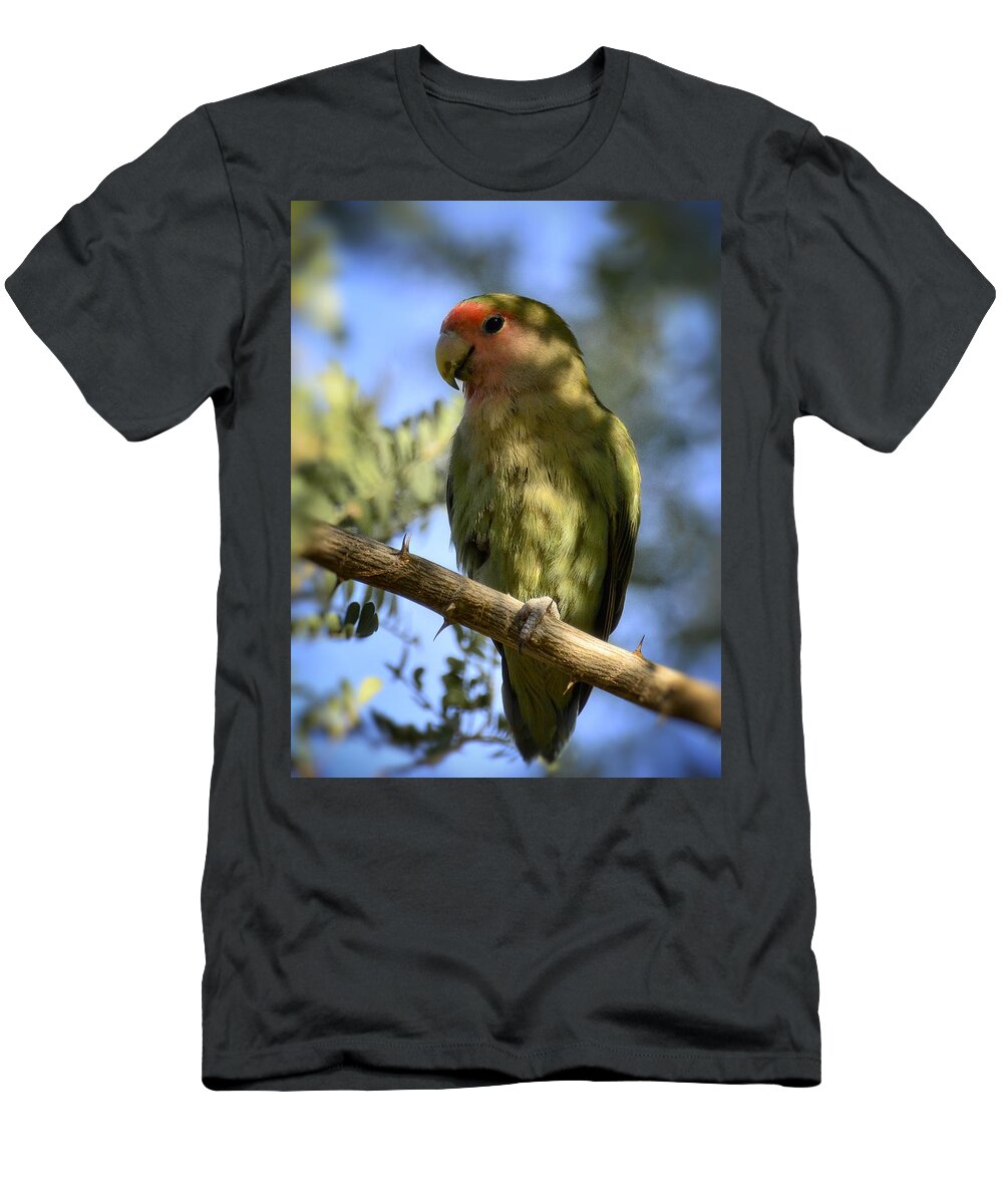 Peach Faced Lovebird T-Shirt featuring the photograph Pretty Bird by Saija Lehtonen