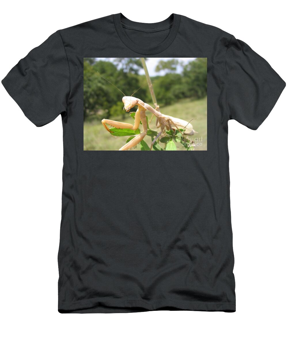 Bug T-Shirt featuring the photograph Preying Mantis by Mark Robbins