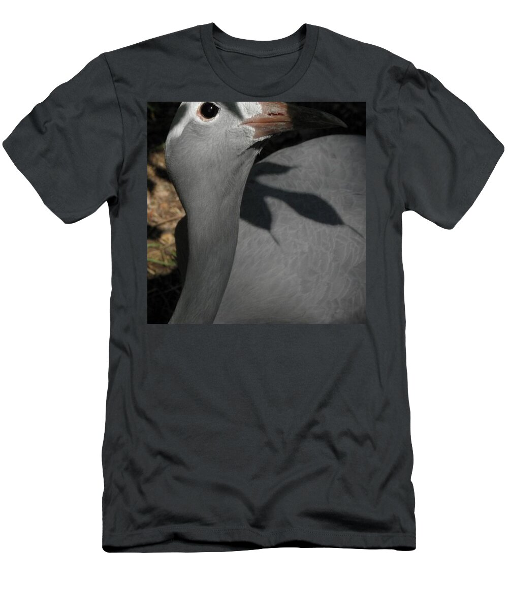 Bird T-Shirt featuring the photograph psst I see you by Kim Galluzzo