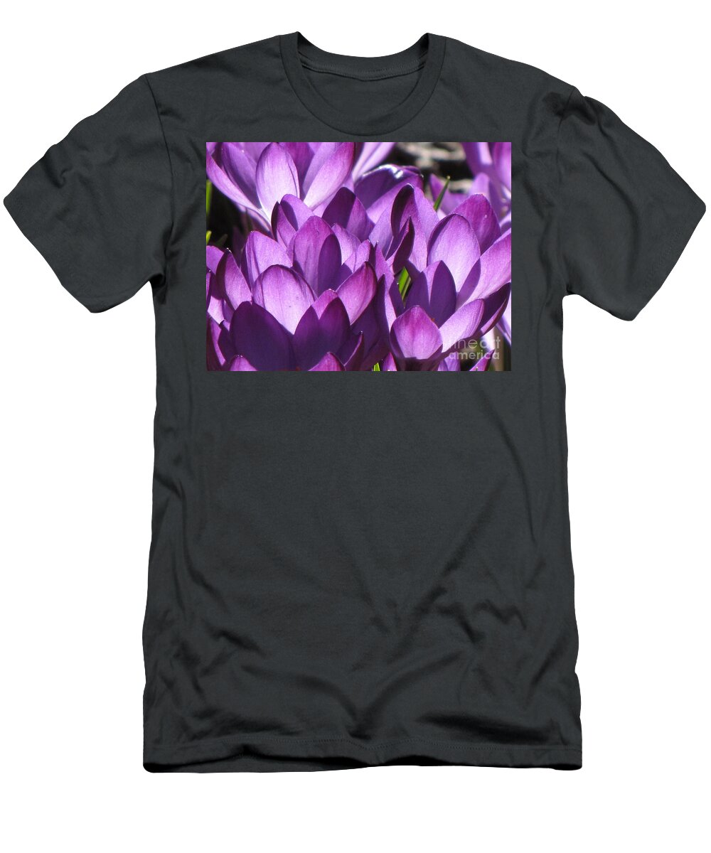 Purple Crocus Spring Flowers T-Shirt featuring the photograph Purple Crocus by Michele Penner
