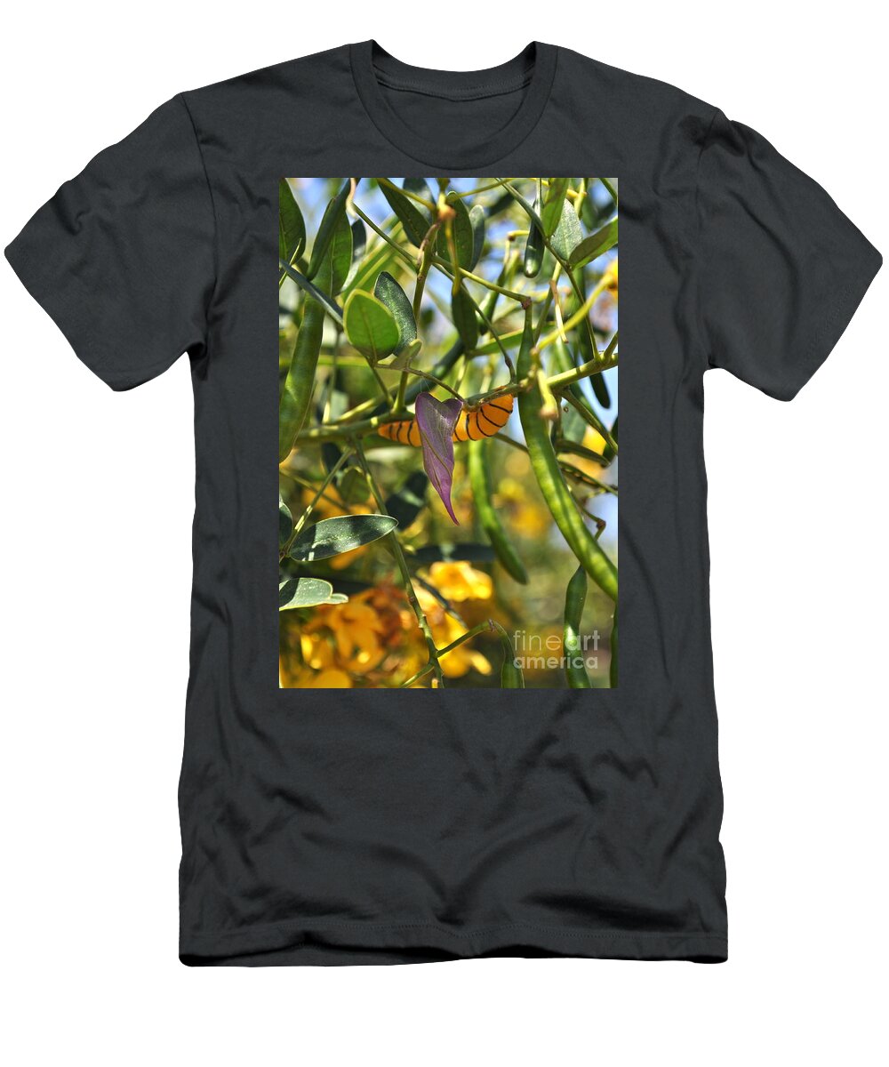 Chrysalis T-Shirt featuring the photograph Purple Pink Green Chrysalis by Bridgette Gomes