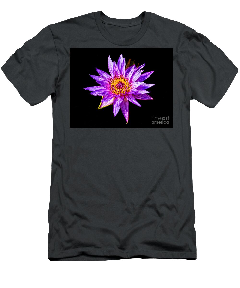 Beauty T-Shirt featuring the photograph Purple Water Lily by Nick Zelinsky Jr
