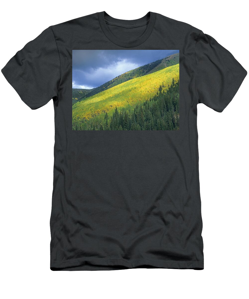 00176727 T-Shirt featuring the photograph Quaking Aspen Forest Maroon Bells by Tim Fitzharris