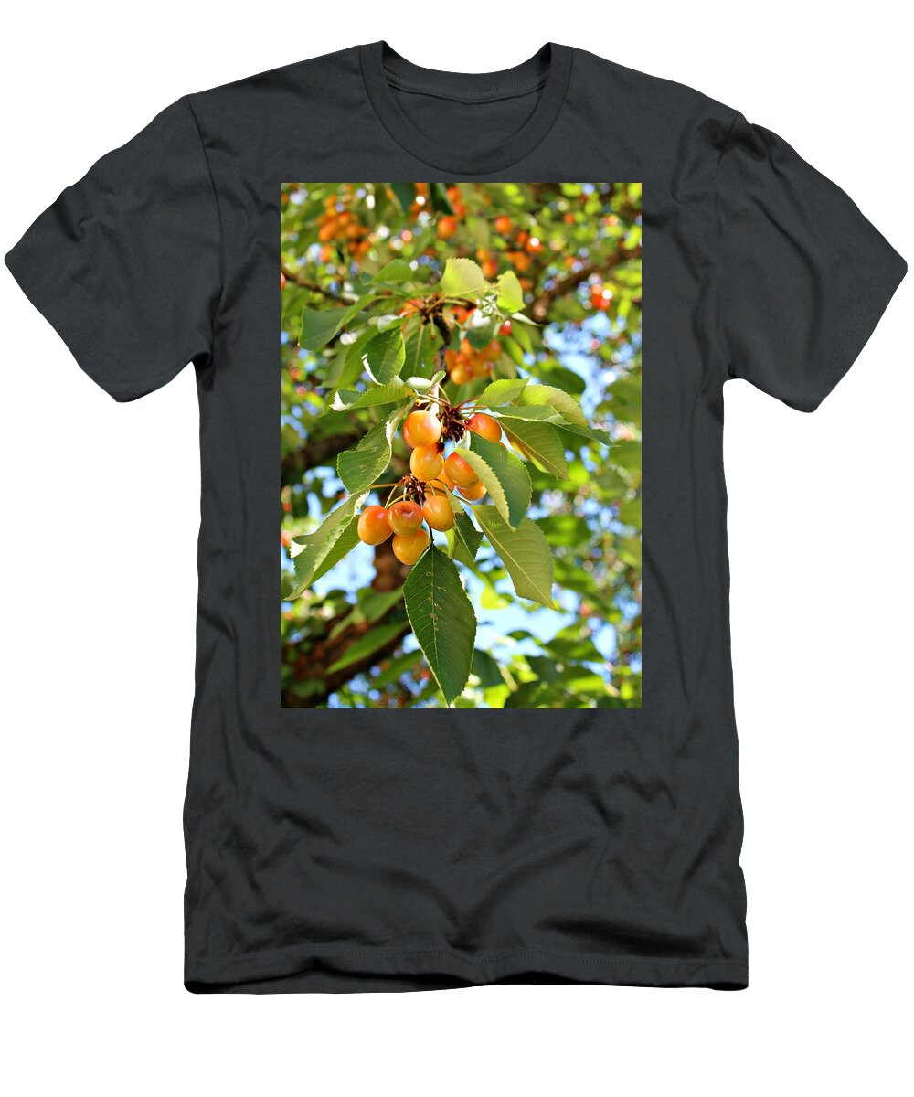 Cherry T-Shirt featuring the photograph Rainier Cherries by Jo Sheehan