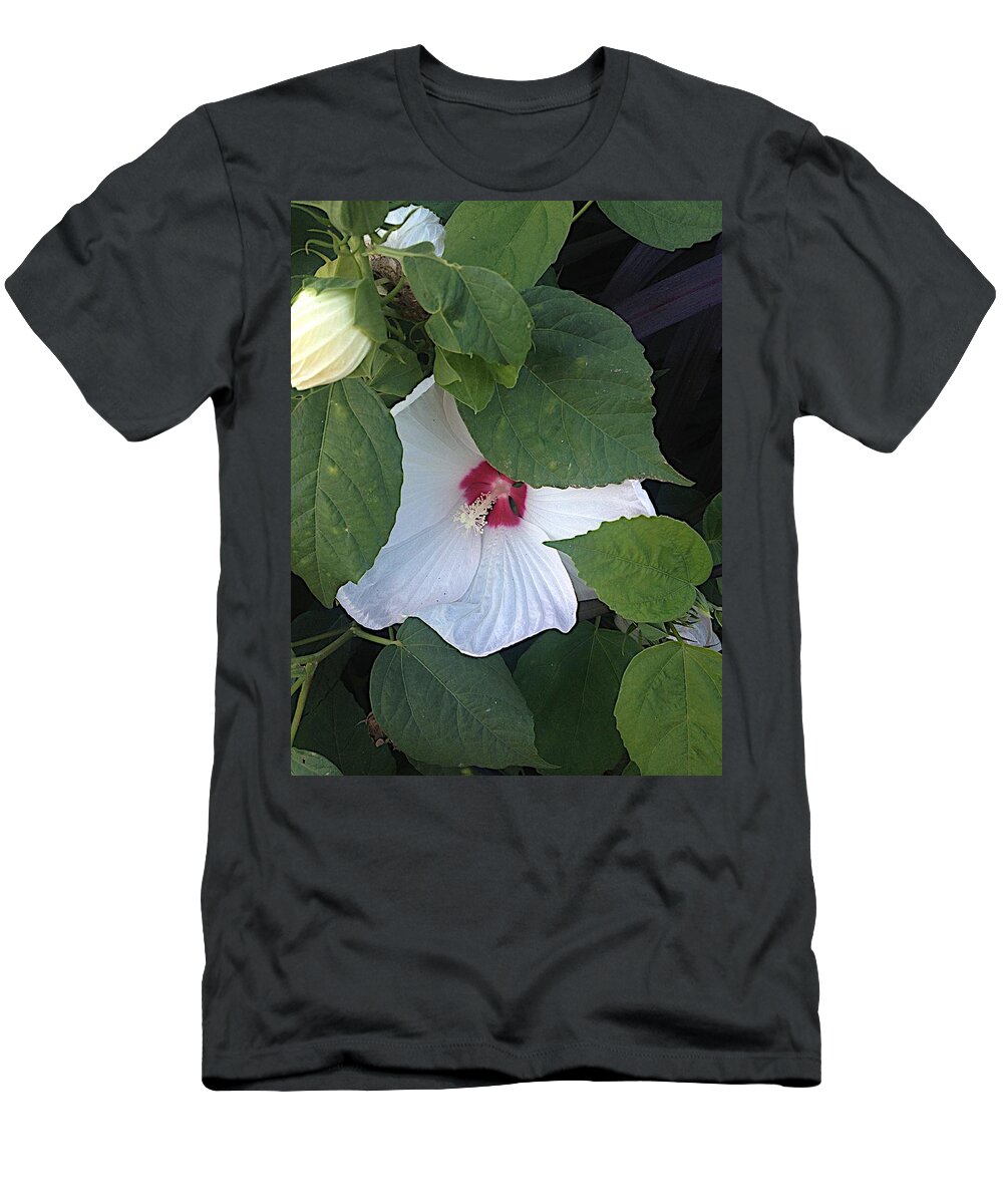 Bush T-Shirt featuring the photograph Red and White by Joseph Yarbrough